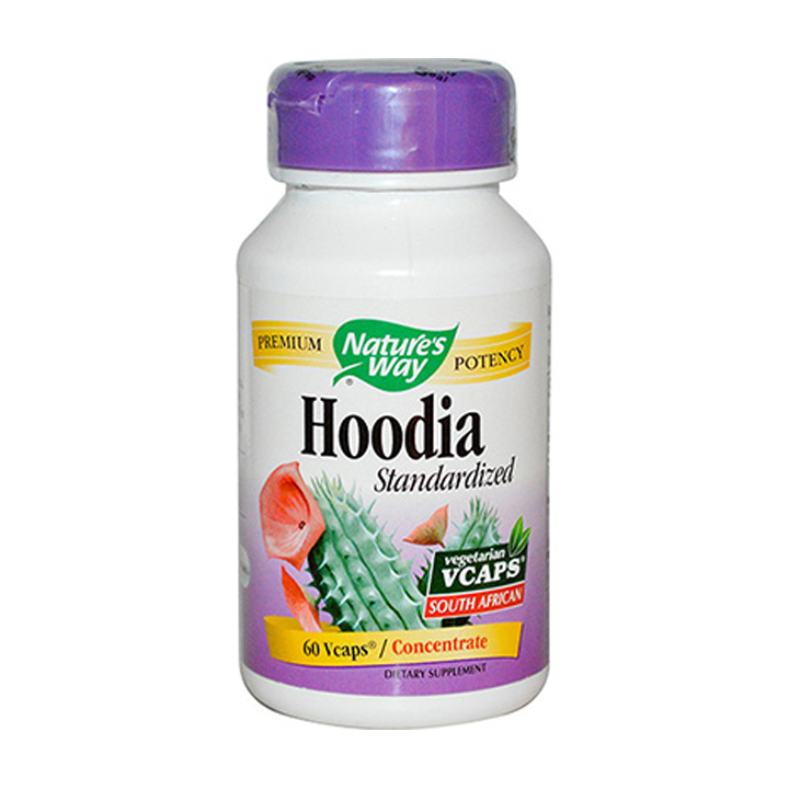 0002179_hoodia.jpeg Hoodia - Image 1